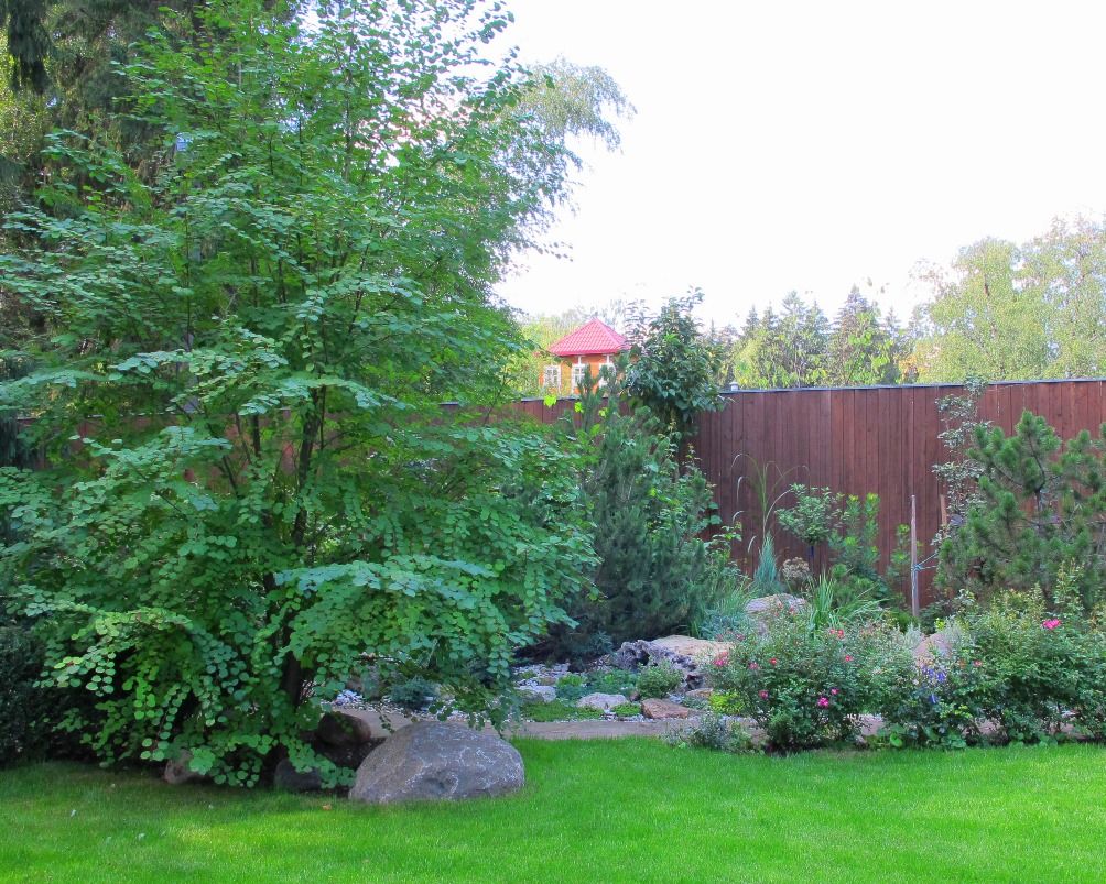 Каменистый сад у Мещерского парка