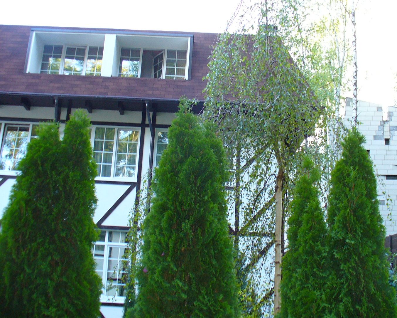 Проект Жуковка